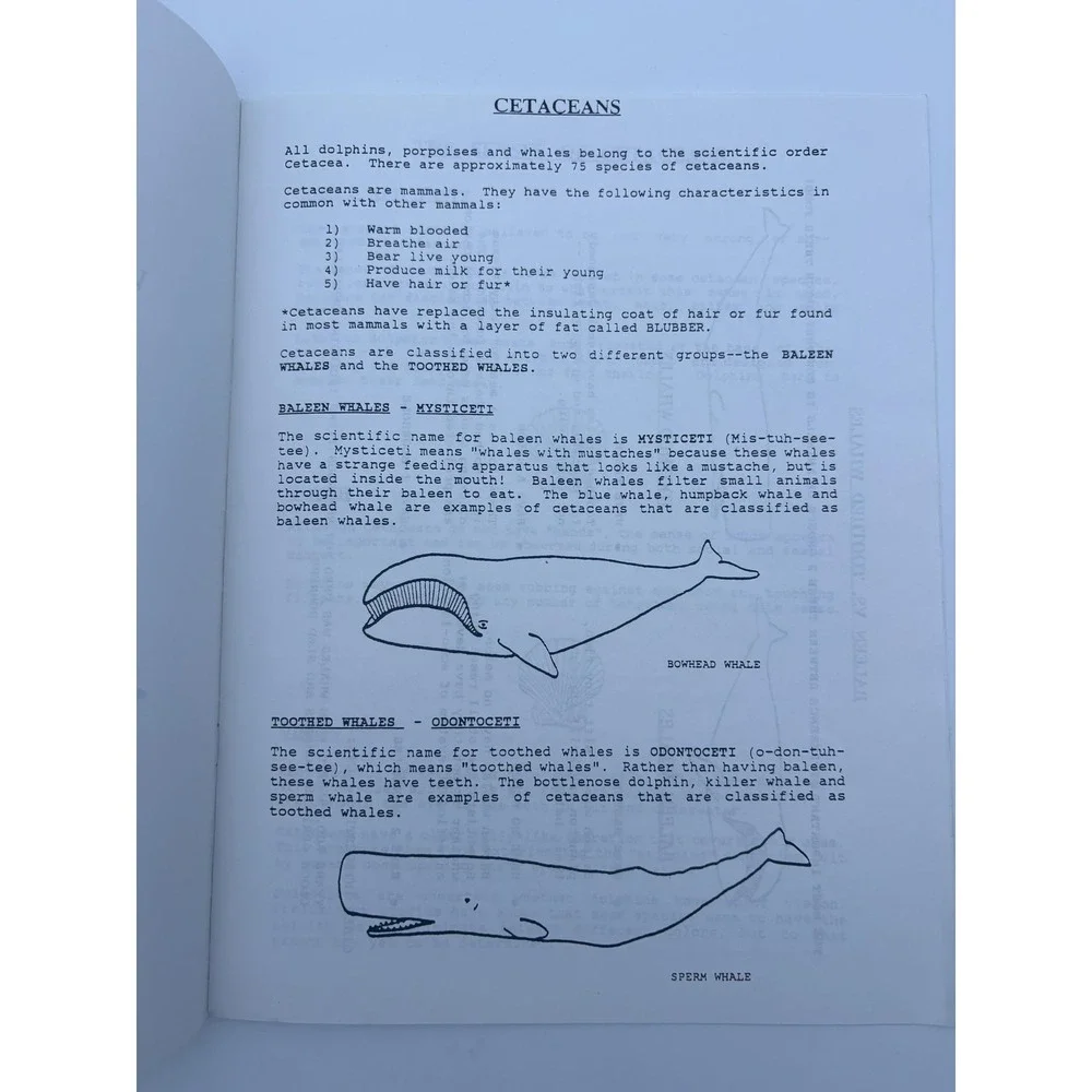 Flippers Fins Tail Flukes‎ Dolphins Whales Mirage Lot 2 Multi Stapled Guide Kids